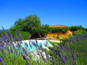 LES LUMIGNONS - WELCOME TO LUBERON